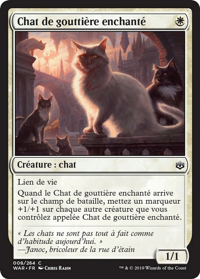 image Chat de gouttière enchanté