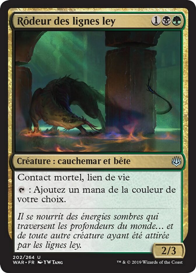 image Rôdeur des lignes ley