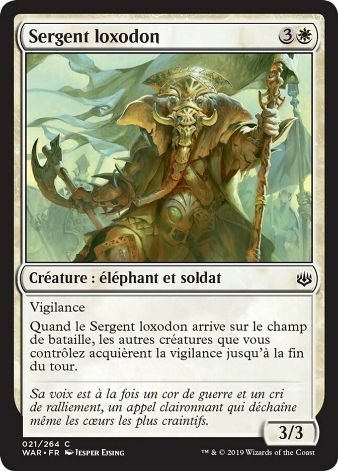image Sergent loxodon