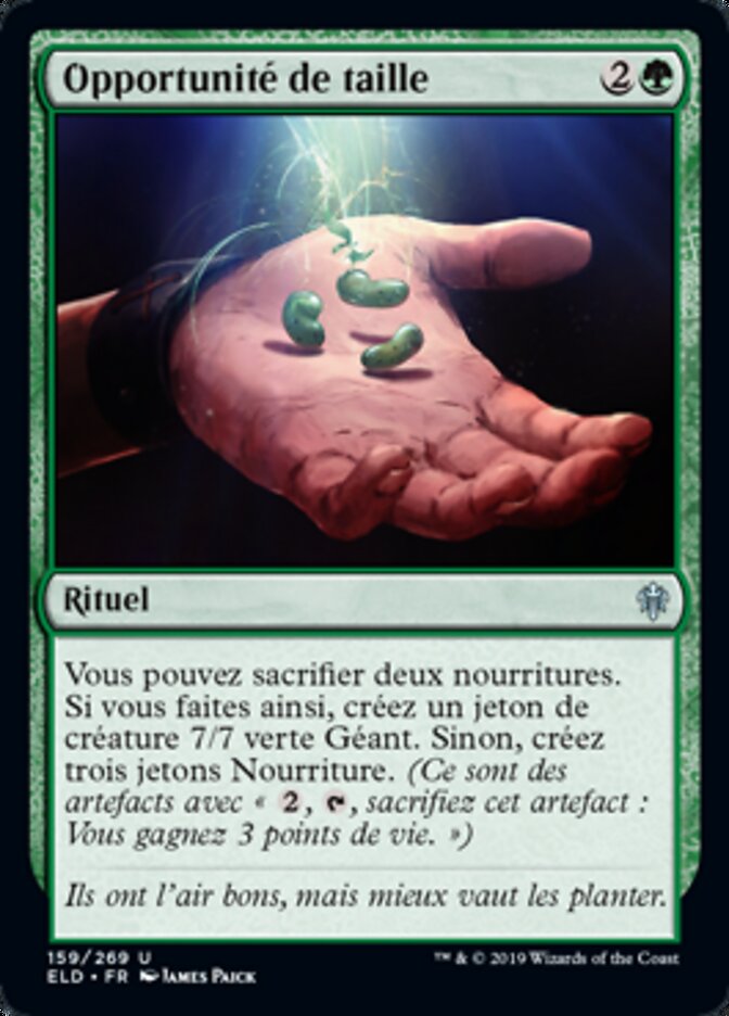 image Opportunité de taille