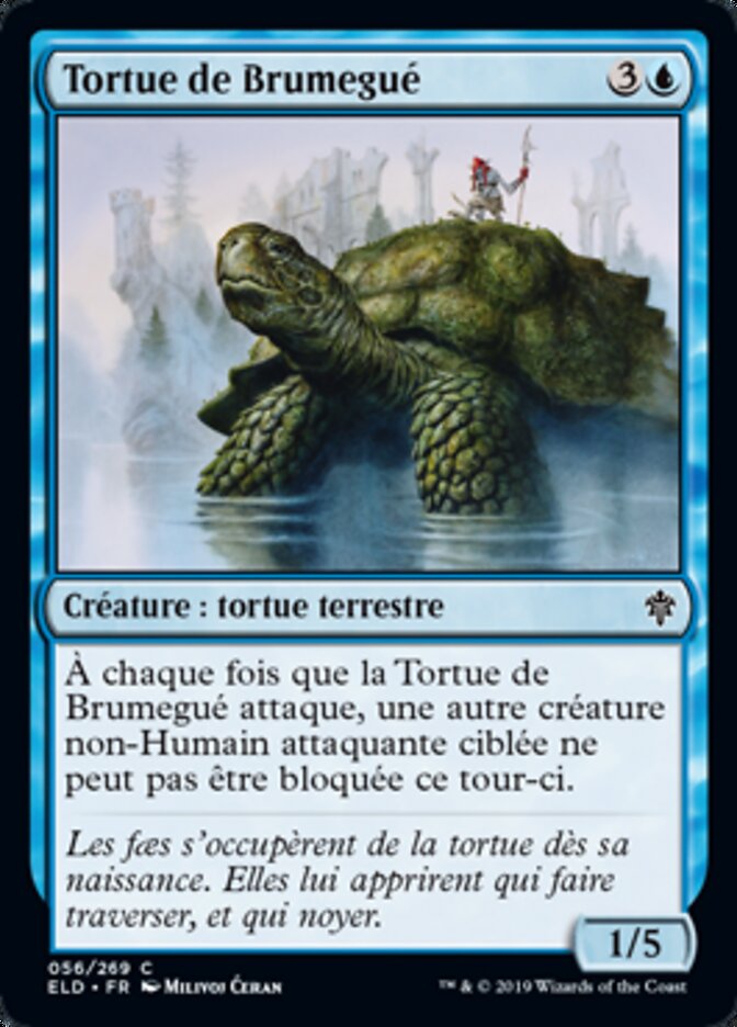 image Tortue de Brumegué