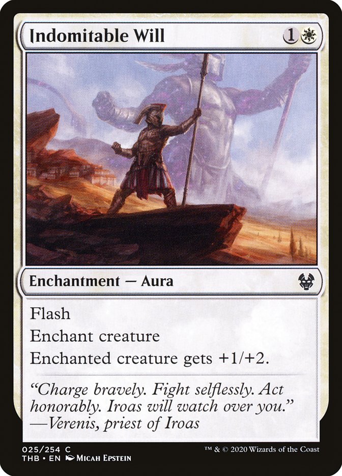 image Indomitable Will