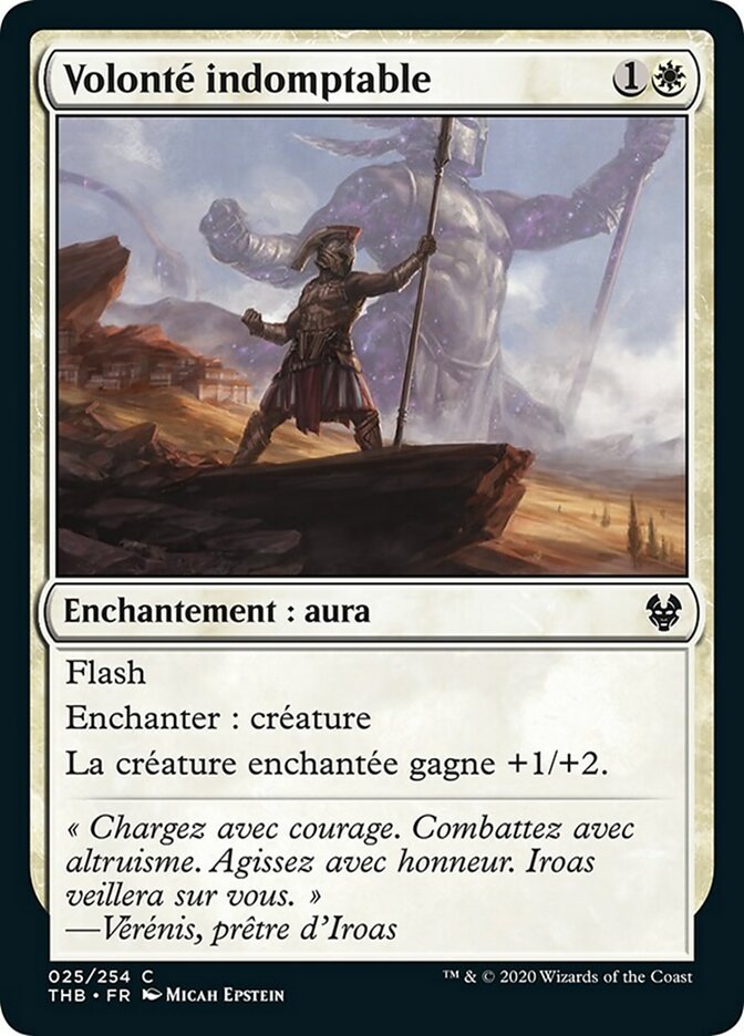 image Volonté indomptable