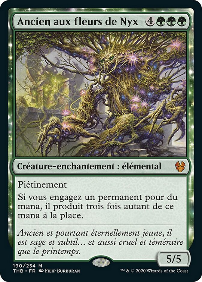 image Ancien aux fleurs de Nyx