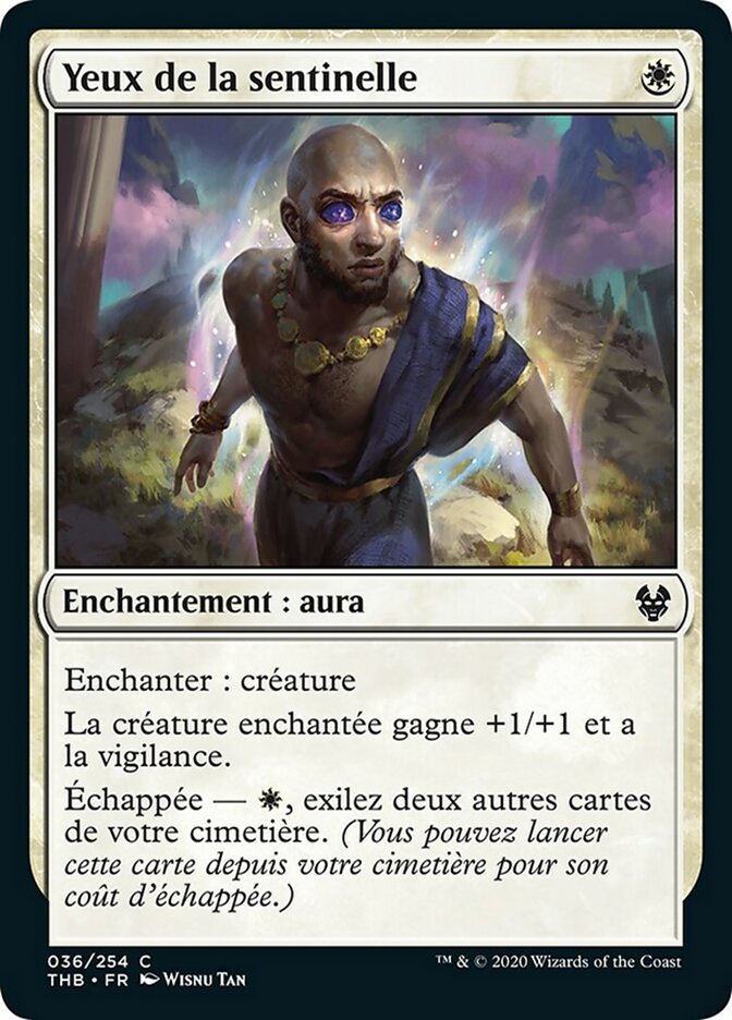 image Yeux de la sentinelle