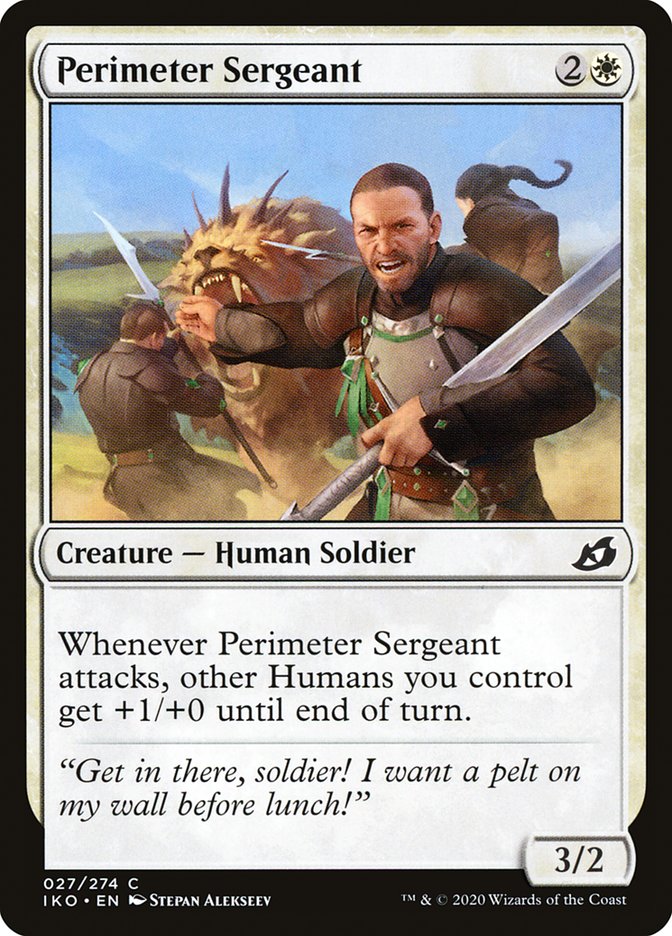 image Perimeter Sergeant