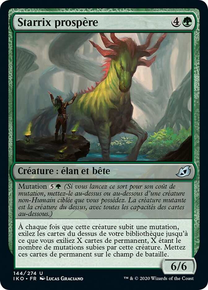 image Starrix prospère