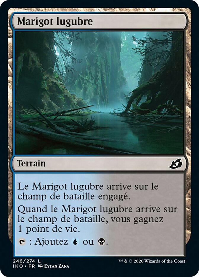 image Marigot lugubre