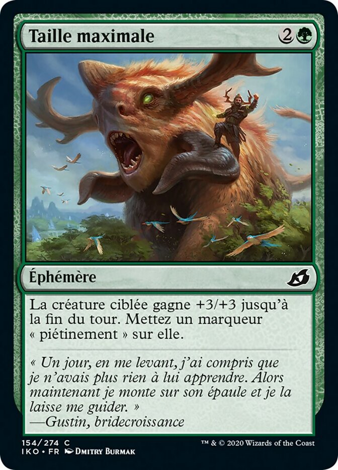 image Taille maximale