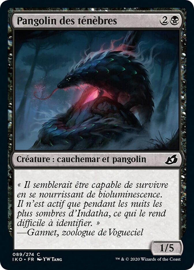 image Pangolin des ténèbres