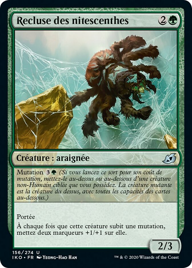 image Recluse des nitescenthes