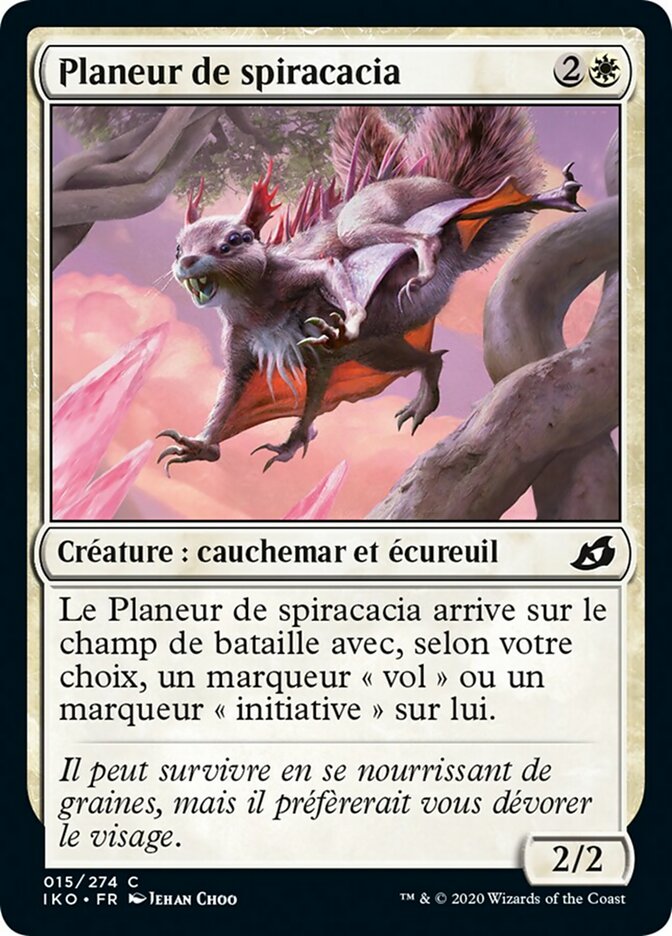 image Planeur de spiracacia