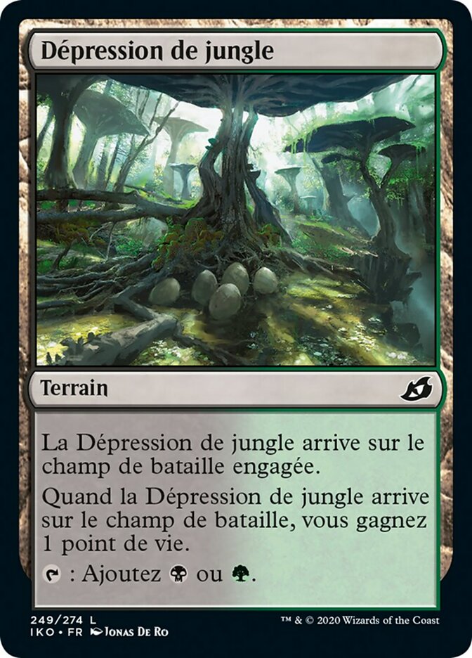 image Dépression de jungle