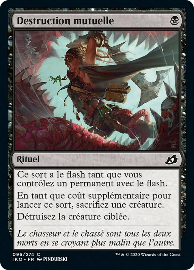 image Destruction mutuelle