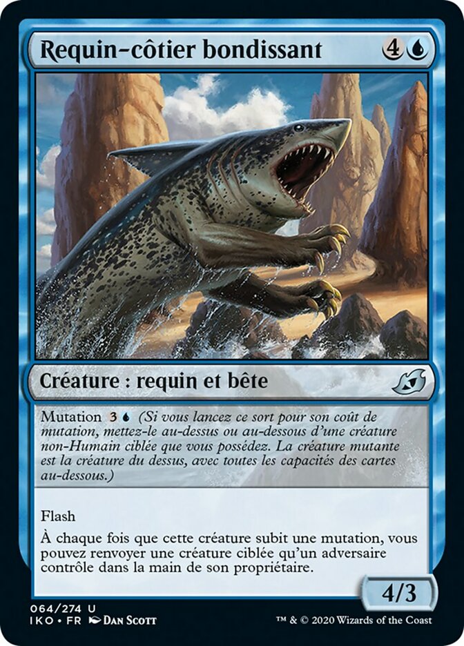 image Requin-côtier bondissant