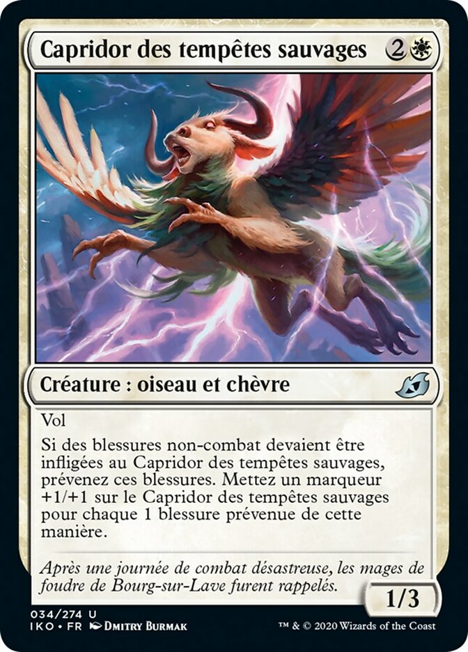 image Capridor des tempêtes sauvages