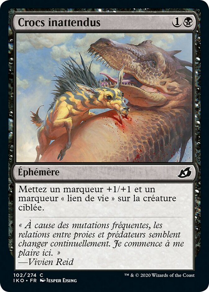 image Crocs inattendus