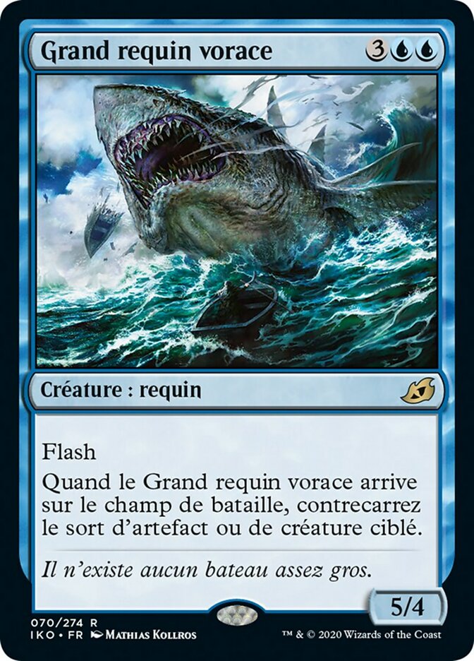 image Grand requin vorace