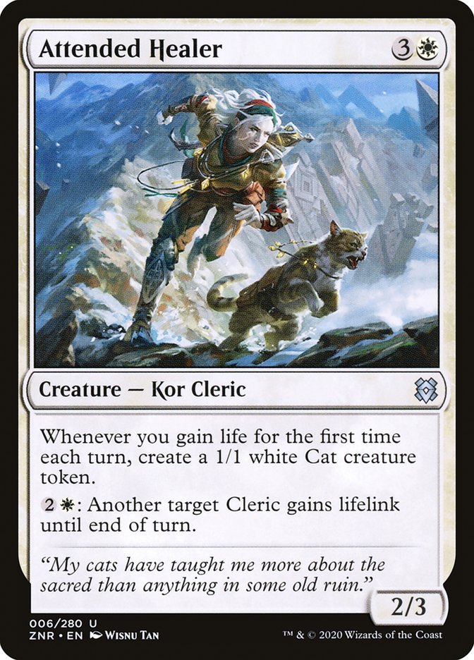 image Attended Healer