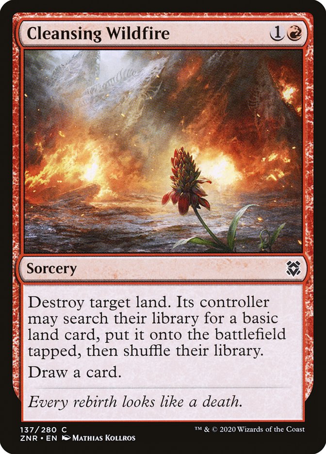 image Cleansing Wildfire