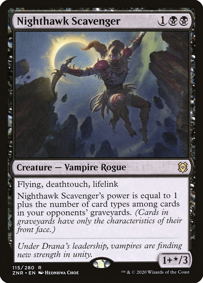image Nighthawk Scavenger