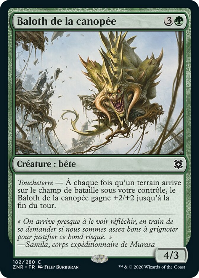 image Baloth de la canopée