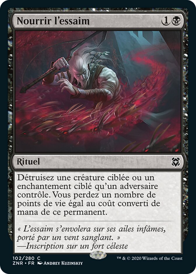 image Nourrir l'essaim