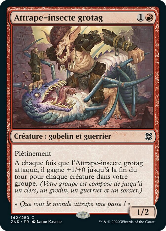 image Attrape-insecte grotag