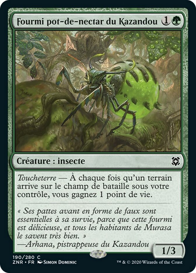 image Fourmi pot-de-nectar du Kazandou