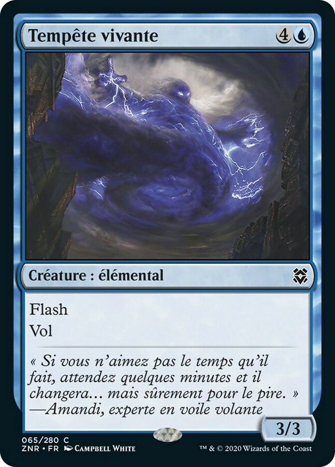 image Tempête vivante