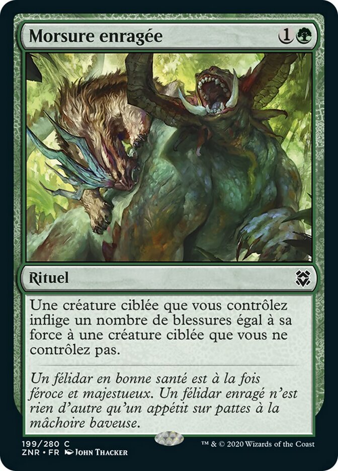 image Morsure enragée
