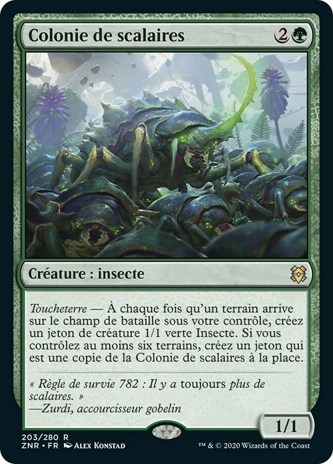 image Colonie de scalaires