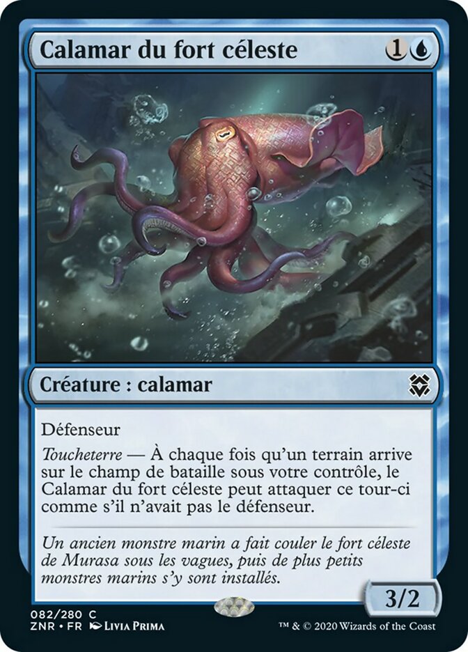image Calamar du fort céleste