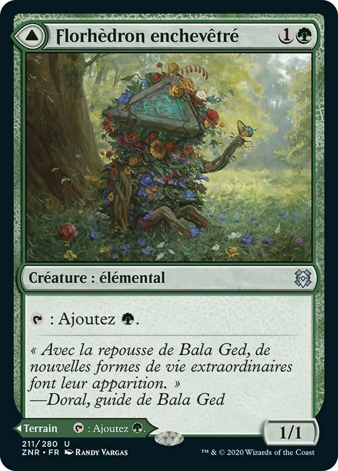 image Tangled Florahedron // Tangled Vale