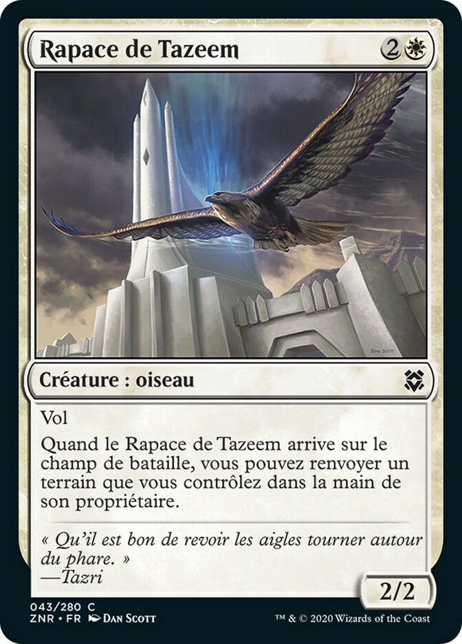 image Rapace de Tazeem