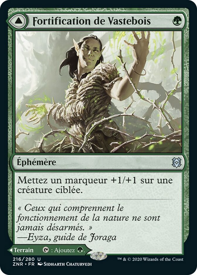 image Vastwood Fortification // Vastwood Thicket