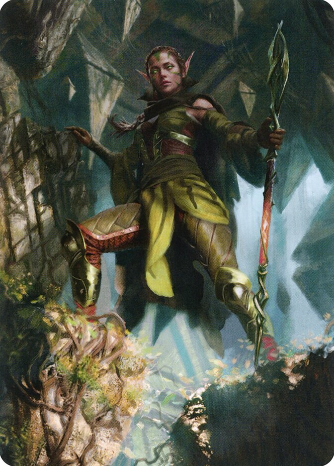 image Nissa of Shadowed Boughs // Nissa of Shadowed Boughs