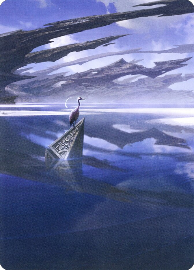 image Seachrome Coast // Seachrome Coast