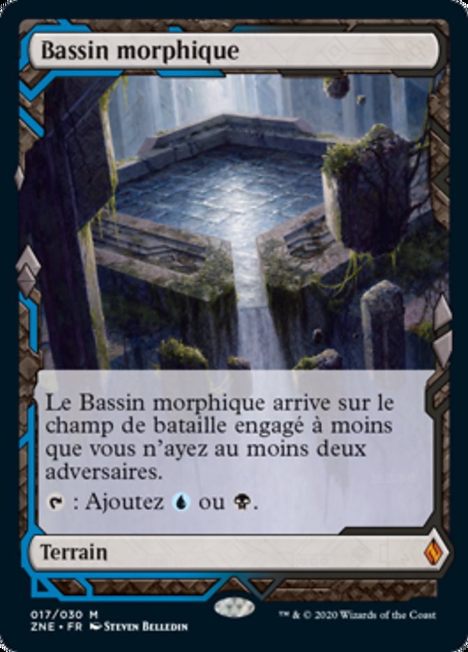 image Bassin morphique