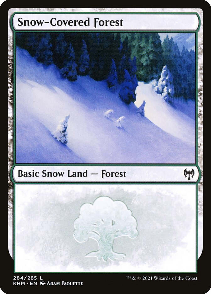 image Snow-Covered Forest