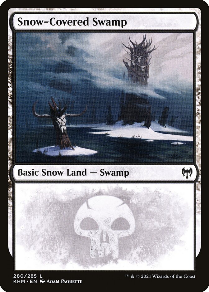 image Snow-Covered Swamp