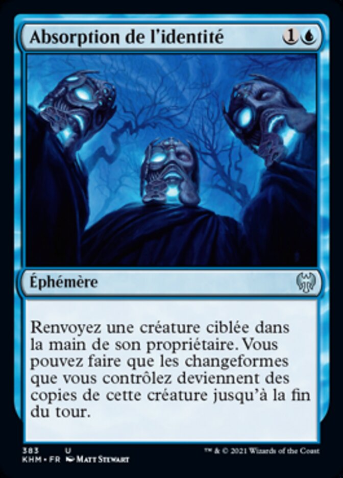 image Absorption de l'identité