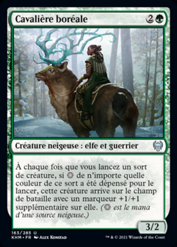 image Cavalière boréale