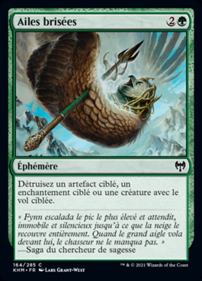 image Ailes brisées