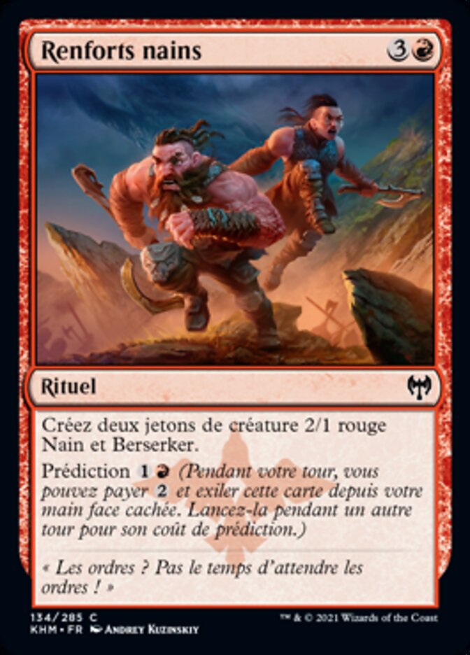 image Renforts nains