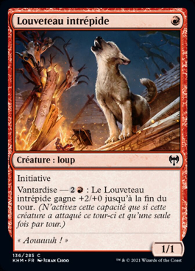 image Louveteau intrépide