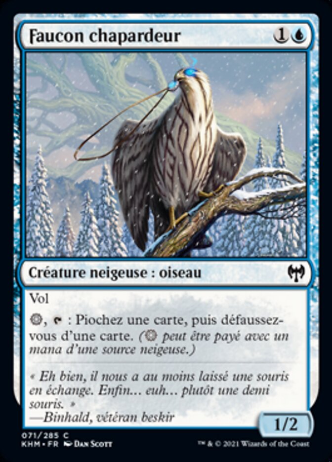 image Faucon chapardeur