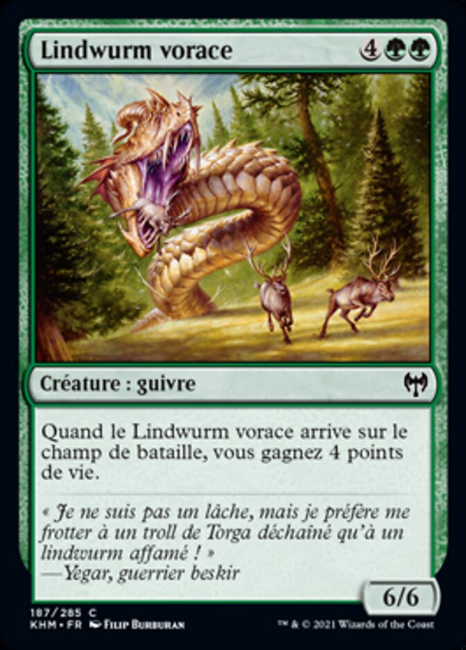 image Lindwurm vorace