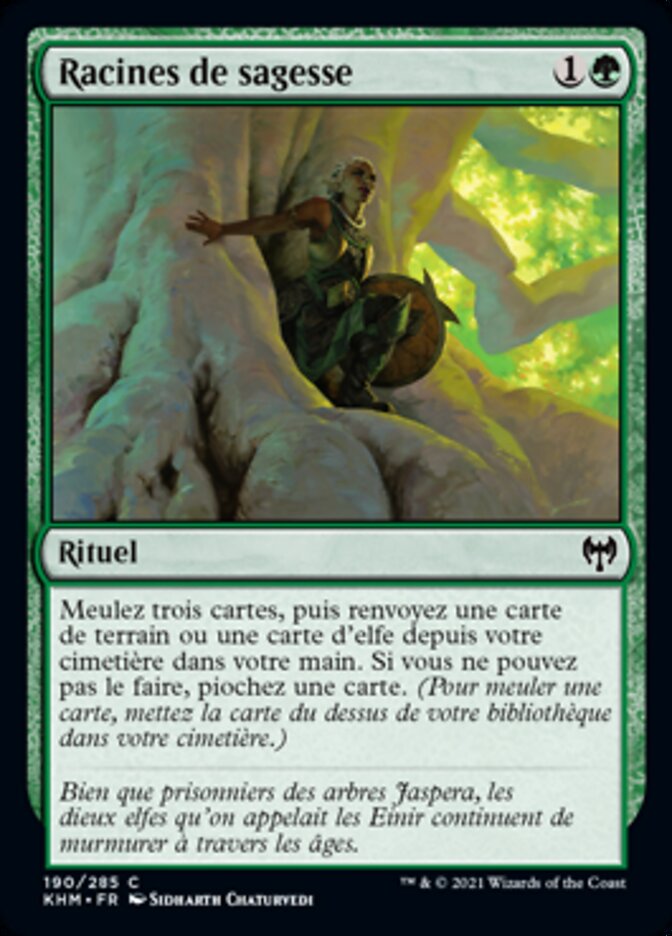 image Racines de sagesse