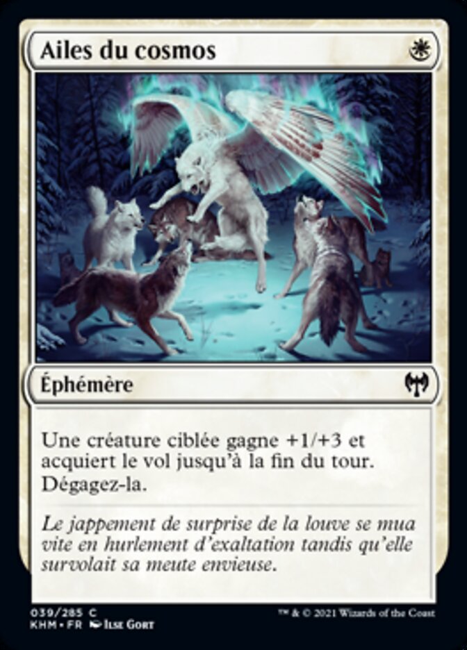 image Ailes du cosmos